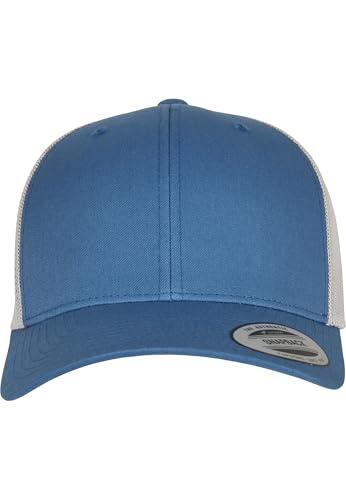 Flexfit Gorra de béisbol Unisex, Retro, de 2 Tonos, Color Azul y Plateado, Talla única