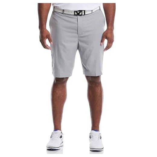 Pro Spin 3.0 Performance 10" Golf Shorts with Active Waistband (Size 30 - 44 Big & Tall), Sleet, 34