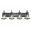 Designers Fountain 87004-WI 30in Darby 4-Light Bathroom Vanity Light Fixture, Weathered Iron
