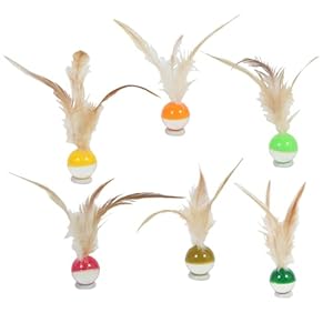 Generisch Katzenbälle mit Federn 6 Teile