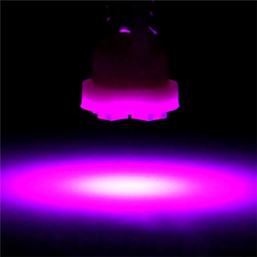 ECCPP 5x Instrument Cluster Dash Panel Lights T10 4-3528-SMD-Purple W5W 147 152 158 159 161 168 184 192 193 259 280 285 447 464 501 555 558 585 655 656 657 1250 1251 1252 2450 2652 2921 2825 PC 175