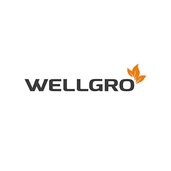 Wellgro® - Termo, 380 ml, acero inoxidable, sin BPA, vaso aislante, color a elegir negro - Imagen 7
