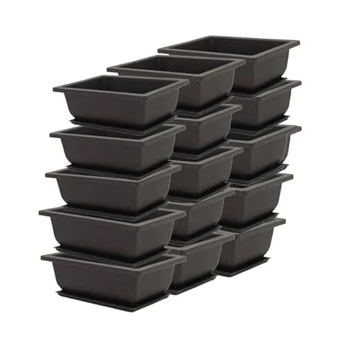 SVUPUE 15 PCS Bonsai Pots Rectangle Plastic Bonsai Tree Pots Training with Trays 6.5 Inch Plants Growing for Garden Balcony Yard and Indoor