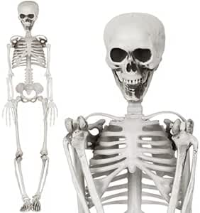 Produktbild von Boland 74515 - Skelett-Dekoration, Größe 160 Cm, Hänge-Deko, Knochen-Mann, Halloween, Grusel-Party, Motto-Party, Karneval, Dekoration
