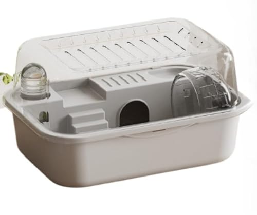 ConutooANnX^[P[WAnEXAAANA_u (O[)