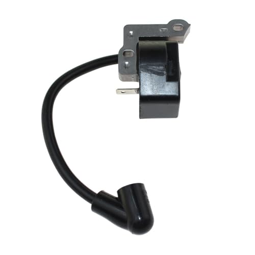 Module d'allumage compatible RBC30SBSA RBC30SESA BBL30MVA 5131000650 - 2