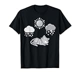News - Furcast For The Weekend - Cat - Weather Channel - T-Shirt for Men Women Kids