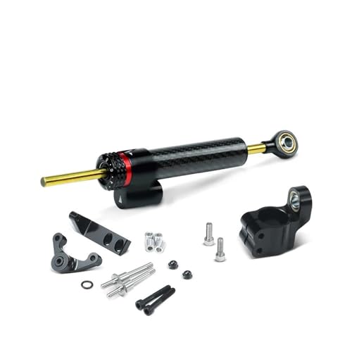 Kit support de stabilisateur de direction carbone Ducati Hypermotard 821 SP