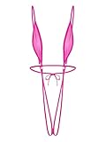 Linjinx Women's Extreme Mini Sling Lingerie Micro Bikini Set Halter Swimsuit Lingerie with Ties Up Hot Pink B One Size