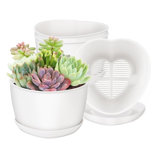 Succulent Pots Heart-Shaped Shallow Herb Planters with Drainage Hole - 4 Packs Cactus Planter for Home Office Garden Plants Pot Present - Plants Not Included (Off White)