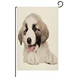 chien alabai wikipedia Material de alta calidad: nuestra bandera de patio está hecha de tela de arpillera de alta calidad, lavable a máquina, que es resistente a la intemperie, no se decolora, resistente a la decoloración. Doble costura de alta resistencia que garantiza durabilidad y los mantiene volando durante primavera, verano, muchas estaciones