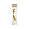 Praying Mantis Paperweight (1 5/8 x 4 3/8 x 1 1/8") #1