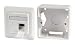 Produktbild EFB-Elektronik ET-25133AV5-R Steckdose 2 x RJ-45, Bianco