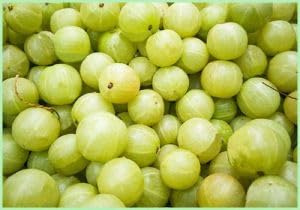 Image of Madhumrit Organics Honey Amla Murabba with Organic Honey - 1kg Grams | 100% Fresh Amla with Honey Homemade Taste & Pure Natural Healthy Ingredients 1kg