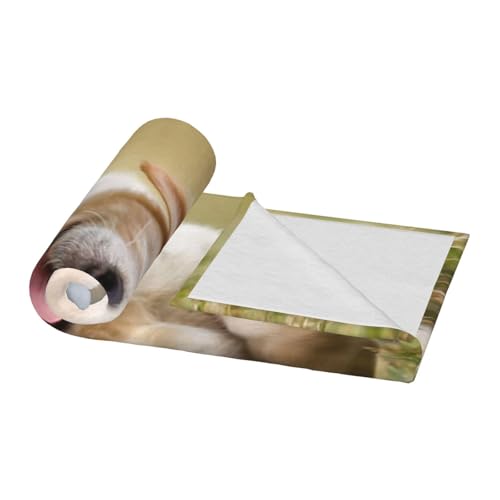 Couverture flanelle Labrador Retriever 152x127 cm