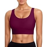 Generisch Sujetador deportivo para mujer, parte superior de bikini, sujetador de natación atlético, cuello, Vino, XXL