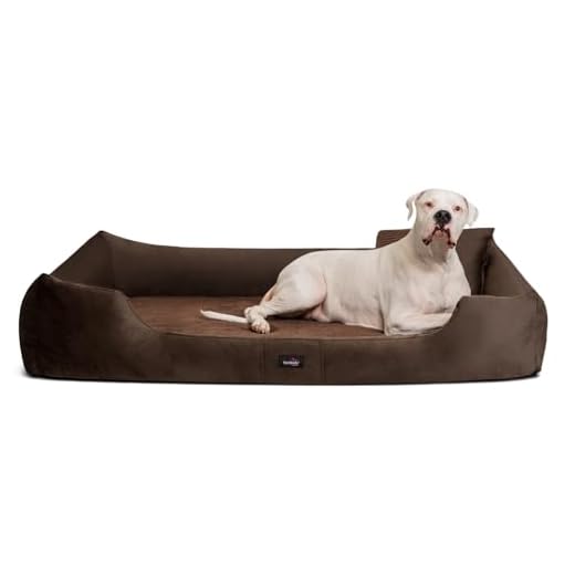 BedDog® Hundebett LUPI, Hundesofa aus Cordura, Microfaser-Velours, waschbares Hundebett mit Rand, Hundekissen Vier-eckig, für drinnen, draußen, XXL, The-Rock, schwarz-grau 9 tierlando® Vincent Orthopädisches Hundebett | High-Tech-Velours Triton und Cord: edel und samtig weich | Mittel bis übergroß | Hundesofa Hundekorb Hundekissen (VI6 | 160 cm, 01 Braun)