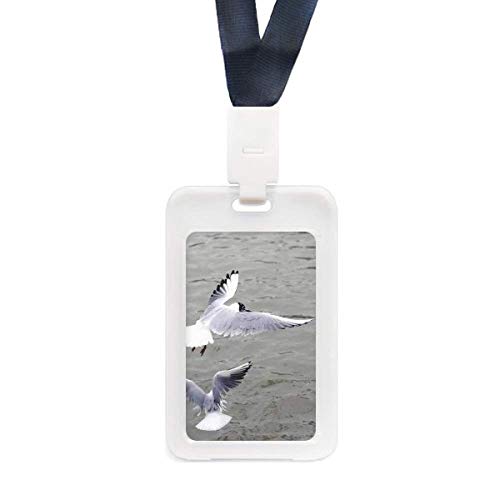 Porte-carte transparent mer et nature idéal pour vos sorties à la plage