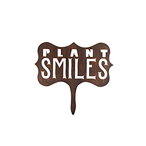 Carson Home Accents Low Level Garden Stake, Smiles