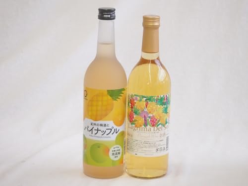 gsJȉW2{Zbg(O}f\9xÌ(ꌧ) IB̔~ƃpCibv12x(a̎R)) 720ml×2{