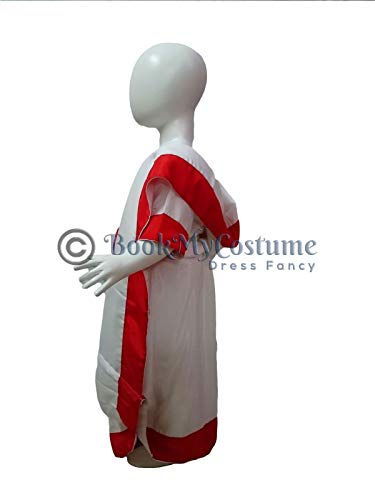 Image of BookMyCostume Bengali Saree Fancy Dress Costume Adult M