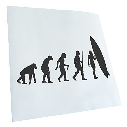 Kiwistar - Autocollant - Evolution II - gris foncé - G24 - Pour voitures, vélos, véhicules, motos, cyclomoteurs, tuning, vitres arrière