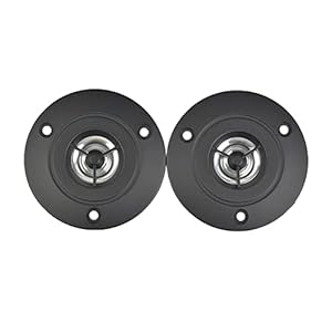 WeiYueKua 2 stuks audio draagbare luidsprekers 4 ohm 10 W HiFi Tweeter HiFi 0 Film zuurstofvrije koperen spoel Stereo Sound Box luidspreker (Kleur: Platinum Star (blcak))