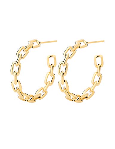 Hoop Earrings for Women - Link Hoop Earrings in 14k Gold/White Gold - Chain Hoop Earrings for Girls?Dia.20mm?