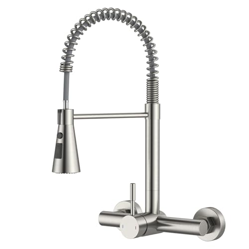 iVIGA Single-Handle Wall Faucet