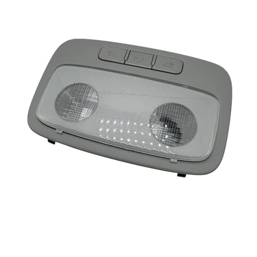 Luz de lectura para Hyundai H1 solucione fallos de luz de techo oem 928704H100TX