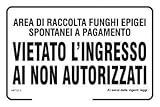 Social Crazy