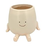 Linda plantadora suculenta, maceta para planta de cactus suculenta de resina desin - decoraciones de jardín para jardín para jardinería y plantaciones, adornos para maceta de plantas