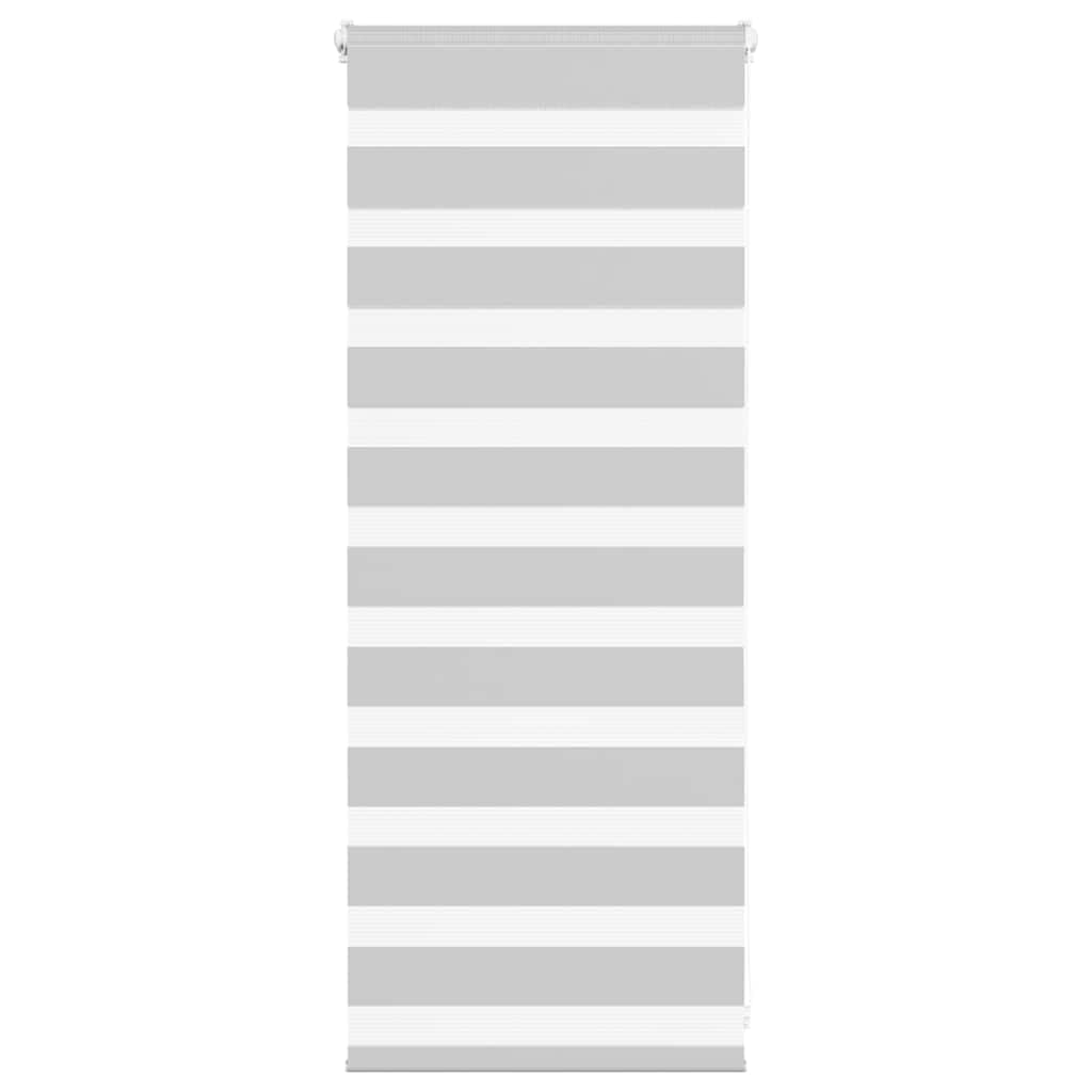vidaXL Zebra Blind Light Grey 65x100 cm Fabric Width 60.9 cm Polyester, zebra roller blind, dual roller blind, zebra blind for window