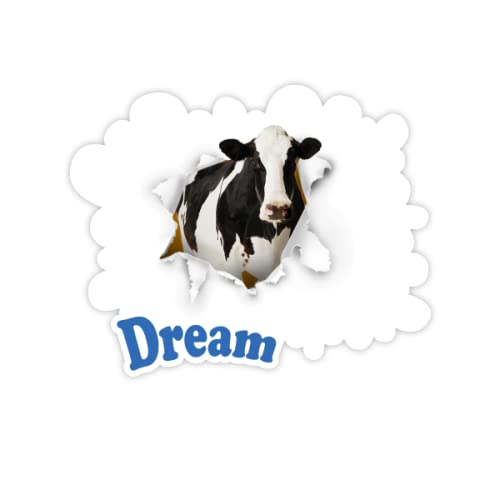 Adesivi Citazione Sogno Decalcomanie in Vinile