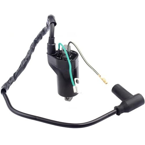 Bobine d'allumage pour CR85R Expert robuste et fiable