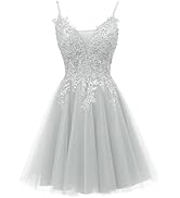 Amazon.com: JAEDEN Prom Dress Short 2026 - Lace Homecoming Dresses DAMA  Dress for Quinceanera for Teens Tulle #118 US2 : Clothing, Shoes & Jewelry