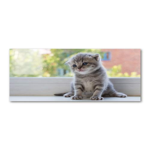 Fond de hotte chat gris en verre trempé pour sublimer votre cuisine