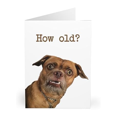 Funny Dog Greeting Card for Special Occasions Cover