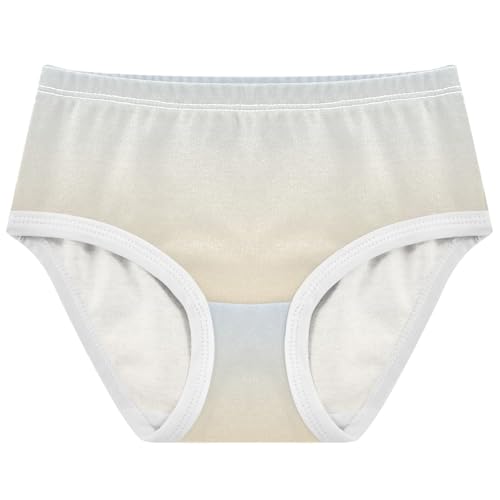 Joisal Fun Girls Underwear Toddlers 2t Cotton Girl Panties Cute Elegant Blue Moccasin Gradient Briefs Girls Undies