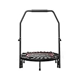 YFDM Trampoline - Leaps & ReBounds: Fitness Trampoline - Full-Size Protective Mat - Minimal Joint Im