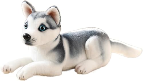 GXBJGXZTʂ _VA   ܂  ӂӂ NbV ʔ _炩 C 􂦂 ObY NX}X v[g X 蕨 a Mtg j  32cm (32cm,nXL[01