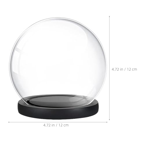 Cúpula de vidrio con base de madera set de 4 piezas para flores preservadas 3