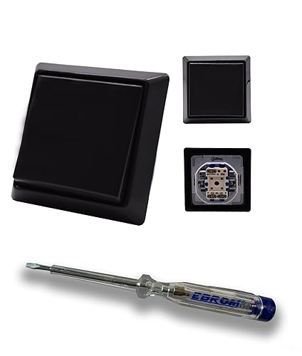 Busch Jäger Allwetter44 Komplett Set mit Taster Tastschalter 2020US IP44 (spritzwassergeschützt) mit Wippe, 1-fach Rahmen anthrazit und EBROM Phasenprüfer zur Montage des Schalters 2020 US