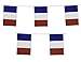 France Flag Banner French Party Decoration by Gabby Fun Corp