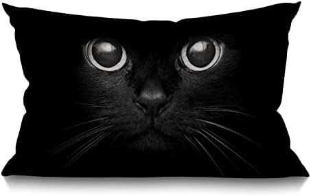BGBDEIA Funny Cat Farmhouse Oblong Rectangle Cushion Cover,The Cat is Holding A Cup of Black Coffee and A Baguette Decorative Throw Pillow Cover,30 x 50 cm 12x20 inch