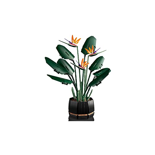 LEGO 10289 Königliche Strelizien (1173 Teile), Botanische Kollektion, kombinierbar mit dem Set Bonsaibaum oder… – Bild 4