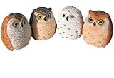 Miniature Owl Figurines Collection 2.25-inch, 4-pc Set
