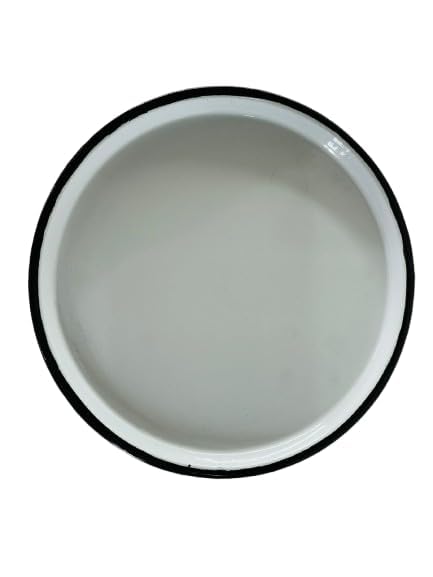 12-Inch Enamel Plate: Ideal for Jewelry, Surgical Works, and Culinary Creations-picture-40