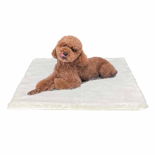 Dog Bed Mat Crate Pads for Dog Cages 24x17.7 Inch Washable Anti-Slip Dog Kennel Pad Soft Small Puppy Cage Cushion Liner, Beige