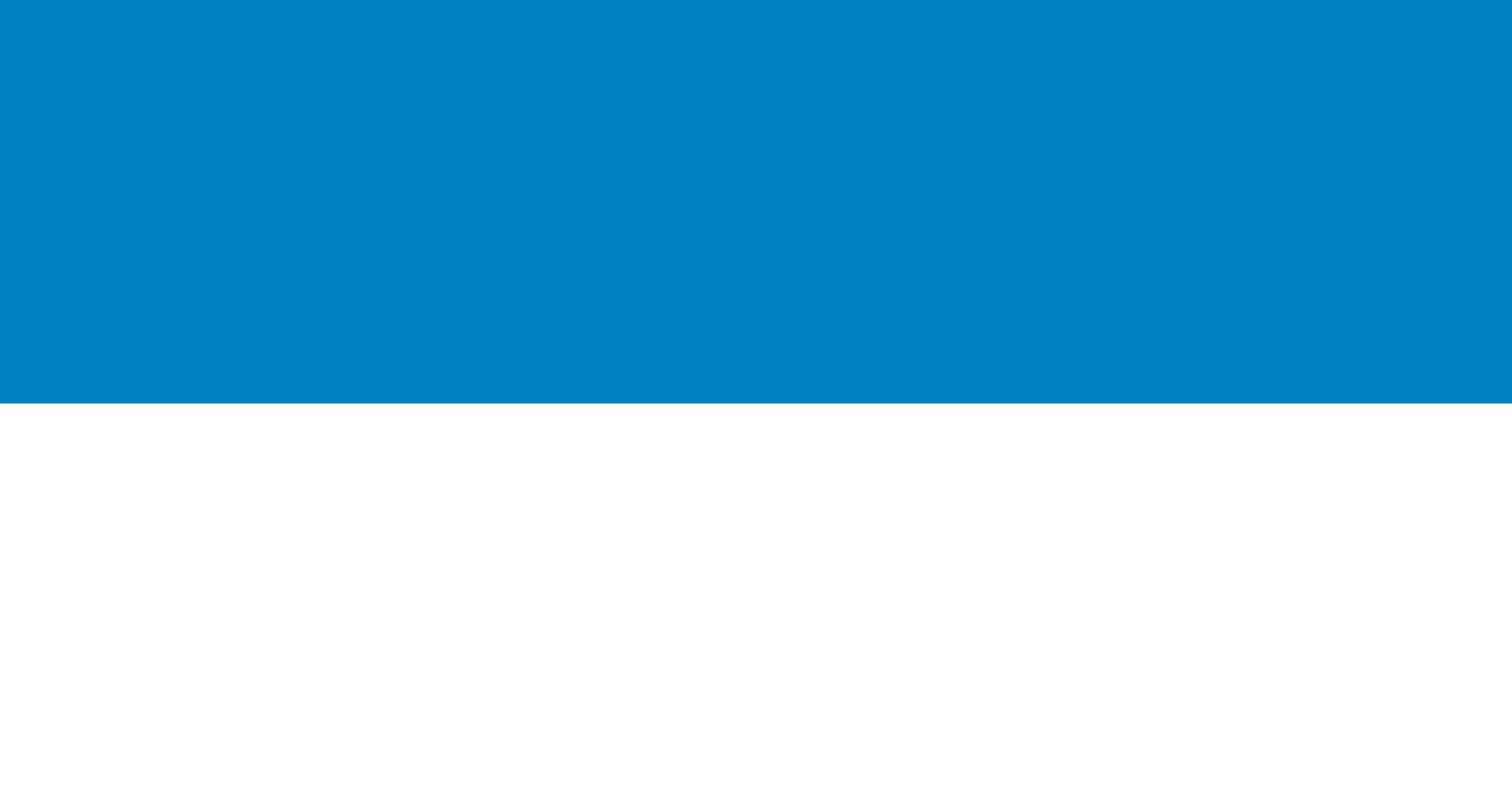 Drapeau XL Baltic State historique format 90x150cm pavillon Duché 1918